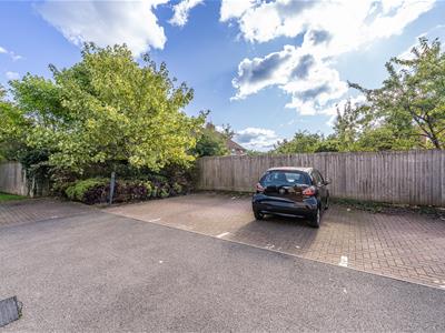 Picture 20